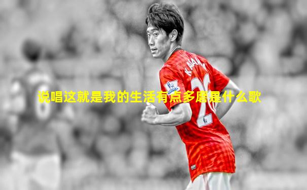 说唱这就是我的生活有点多磨是什么歌