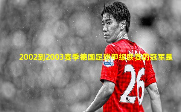 2002到2003赛季德国足球甲级联赛的冠军是