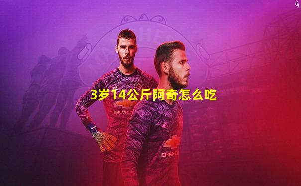 3岁14公斤阿奇怎么吃