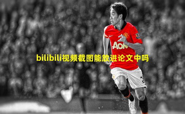 bilibili视频截图能放进论文中吗