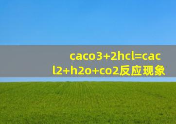 caco3+2hcl=cacl2+h2o+co2反应现象