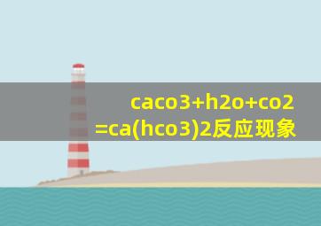 caco3+h2o+co2=ca(hco3)2反应现象