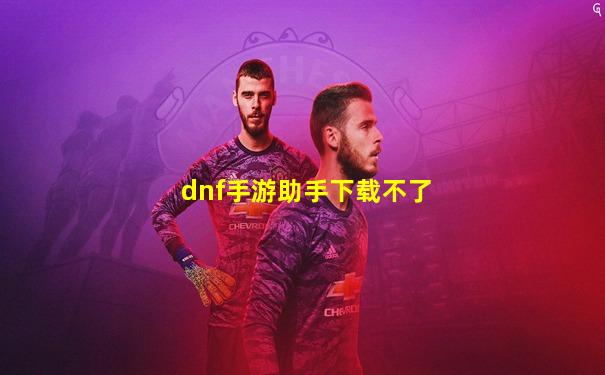 dnf手游助手下载不了