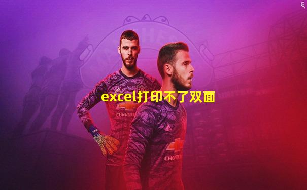 excel打印不了双面