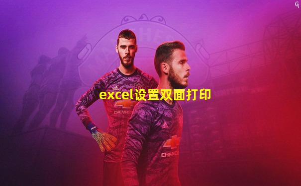 excel设置双面打印