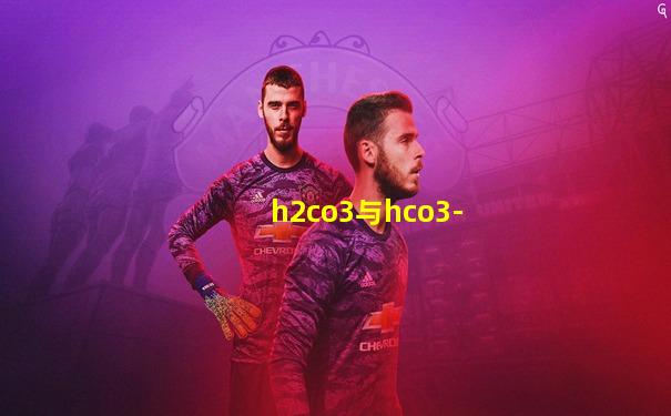 h2co3与hco3-