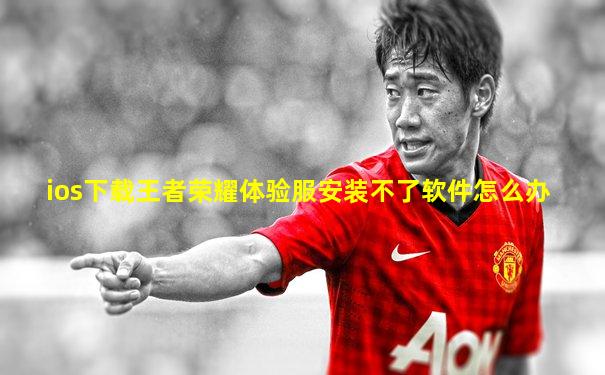 ios下载王者荣耀体验服安装不了软件怎么办