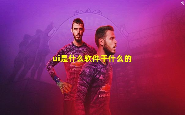 ui是什么软件干什么的