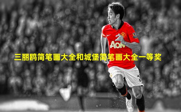 三丽鸥简笔画大全和城堡简笔画大全一等奖