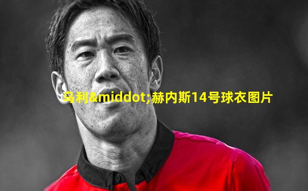 乌利·赫内斯14号球衣图片