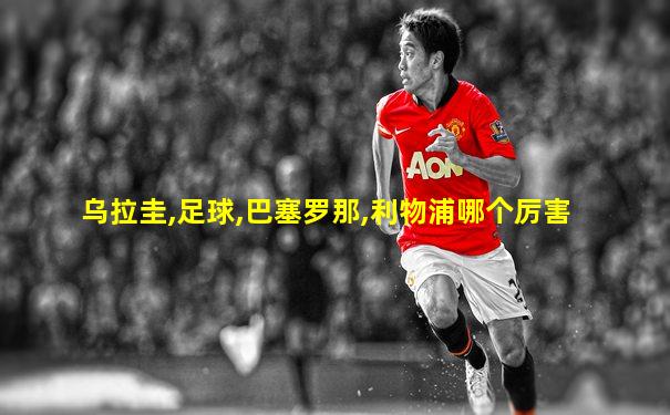 乌拉圭,足球,巴塞罗那,利物浦哪个厉害