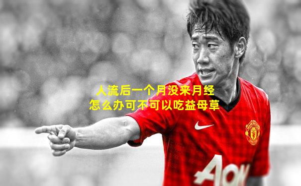 人流后一个月没来月经怎么办可不可以吃益母草
