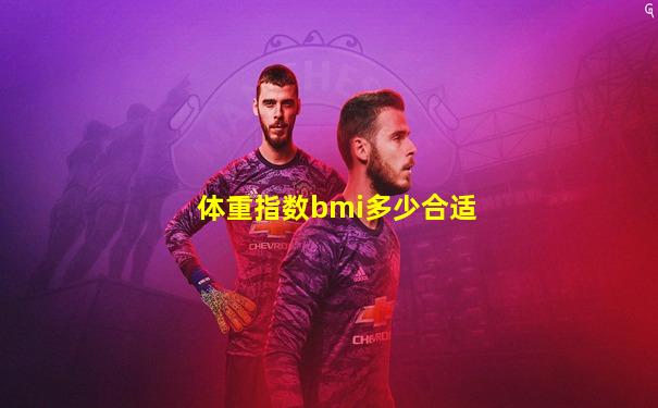 体重指数bmi多少合适