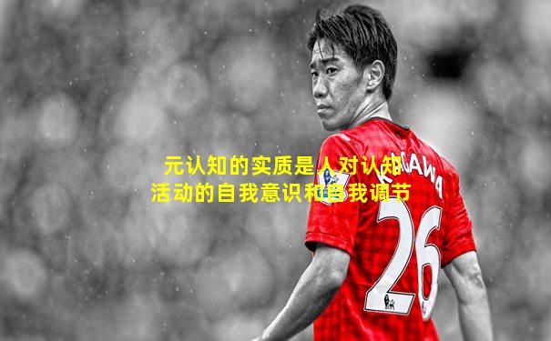 元认知的实质是人对认知活动的自我意识和自我调节