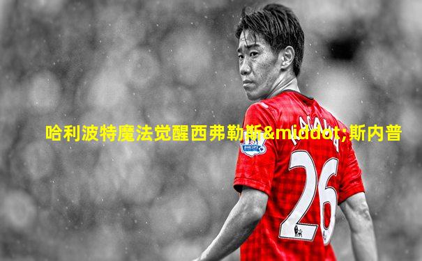 哈利波特魔法觉醒西弗勒斯·斯内普