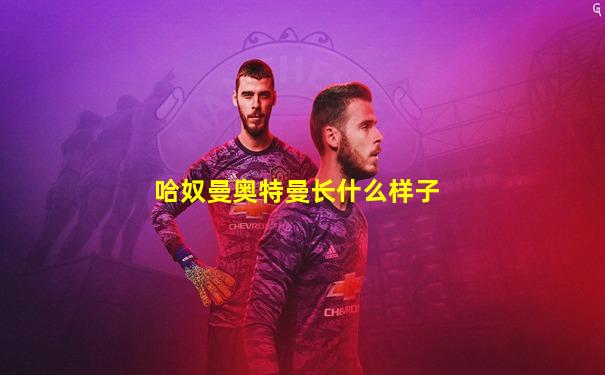 哈奴曼奥特曼长什么样子