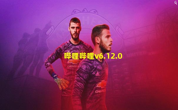 哔哩哔哩v6.12.0