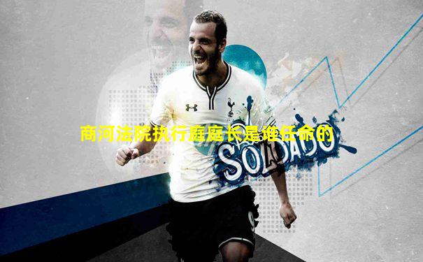 商河法院执行庭庭长是谁任命的