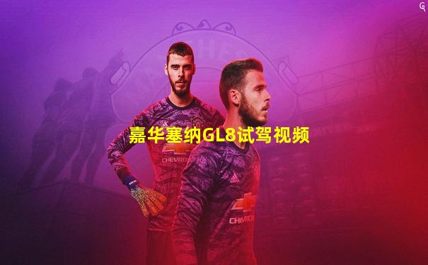 嘉华塞纳GL8试驾视频