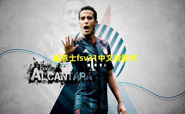 基恩士fsv31中文说明书
