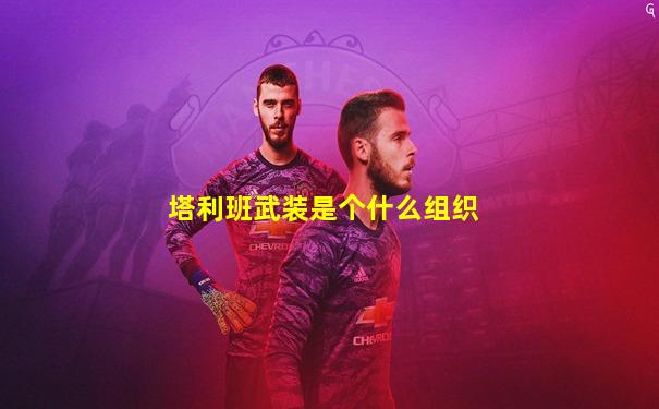 塔利班武装是个什么组织