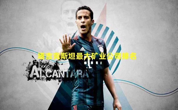 塔吉克斯坦最大矿业公司排名