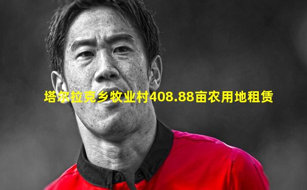 塔尔拉克乡牧业村408.88亩农用地租赁