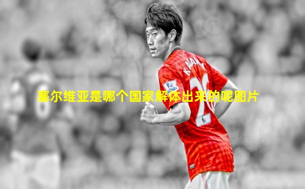 塞尔维亚是哪个国家解体出来的呢图片