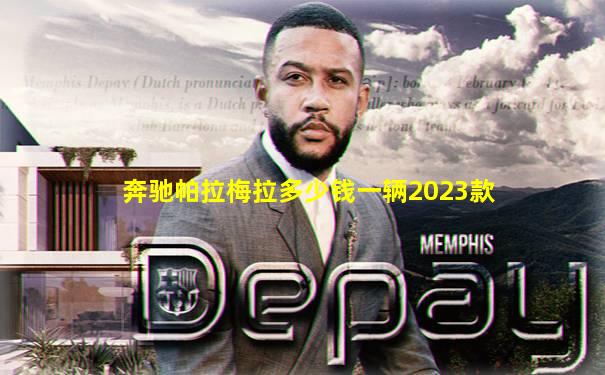 奔驰帕拉梅拉多少钱一辆2023款