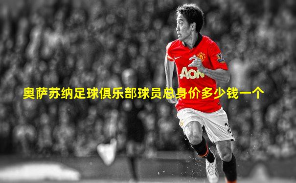 奥萨苏纳足球俱乐部球员总身价多少钱一个