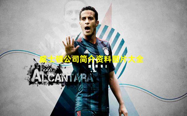 威士顿公司简介资料图片大全