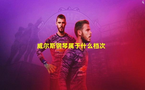 威尔斯钢琴属于什么档次
