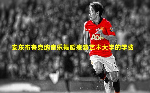 安东布鲁克纳音乐舞蹈表演艺术大学的学费