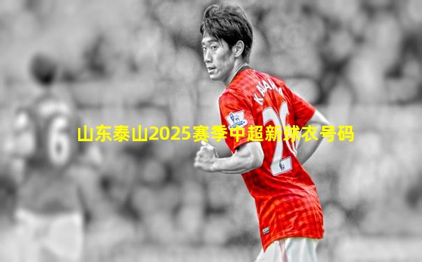山东泰山2025赛季中超新球衣号码