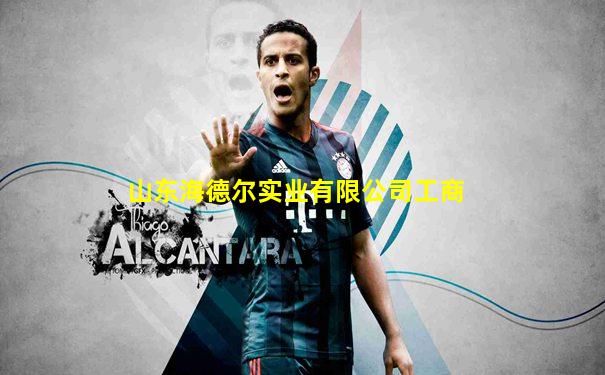 山东海德尔实业有限公司工商