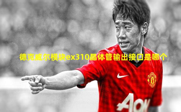 德克威尔模块ex310晶体管输出接口是哪个