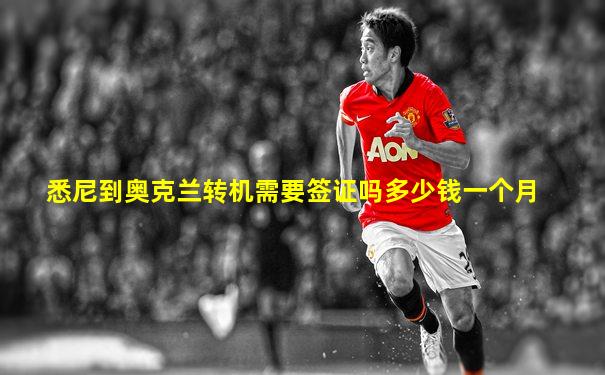 悉尼到奥克兰转机需要签证吗多少钱一个月