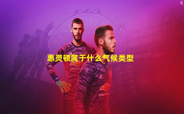 惠灵顿属于什么气候类型