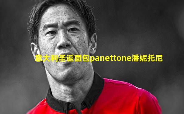 意大利圣诞面包panettone潘妮托尼