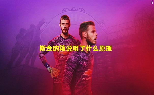 斯金纳箱说明了什么原理