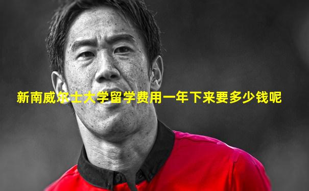 新南威尔士大学留学费用一年下来要多少钱呢