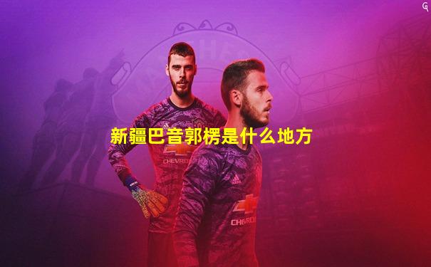 新疆巴音郭楞是什么地方