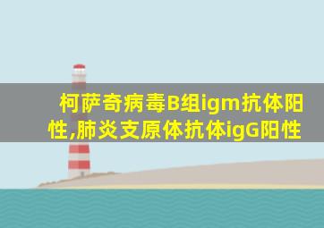 柯萨奇病毒B组igm抗体阳性,肺炎支原体抗体igG阳性