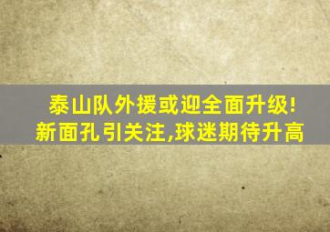 泰山队外援或迎全面升级!新面孔引关注,球迷期待升高