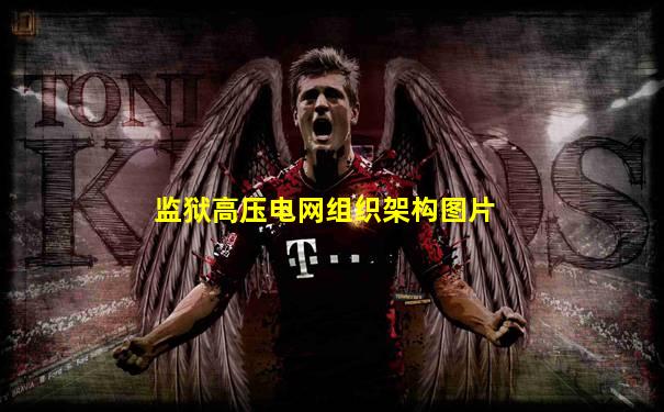 监狱高压电网组织架构图片