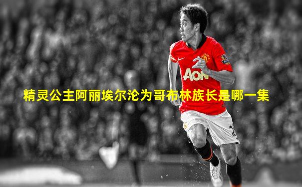 精灵公主阿丽埃尔沦为哥布林族长是哪一集