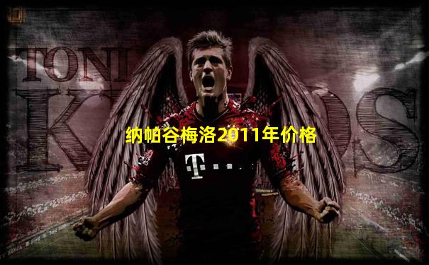 纳帕谷梅洛2011年价格