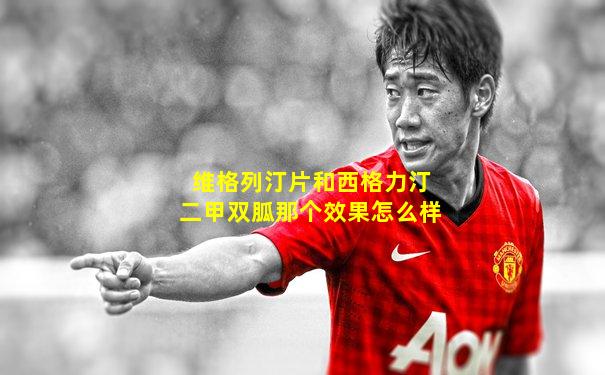 维格列汀片和西格力汀二甲双胍那个效果怎么样