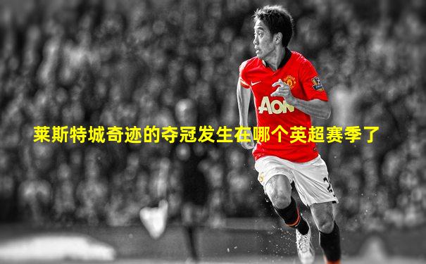 莱斯特城奇迹的夺冠发生在哪个英超赛季了