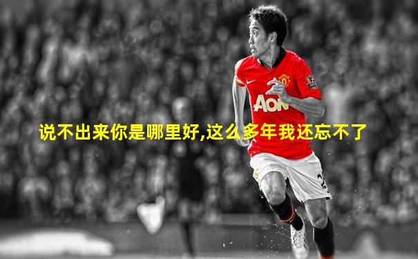 说不出来你是哪里好,这么多年我还忘不了